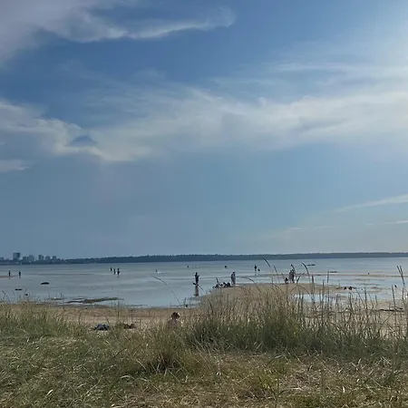 Randla 14 تالين