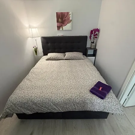 Randla 14 Apartament Tallin